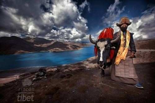 Local Markets Near Adi Kailash: Complete Shopping Guide for Travelers