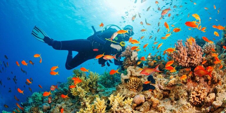 Ultimate Adventure Playground of Andaman Islands