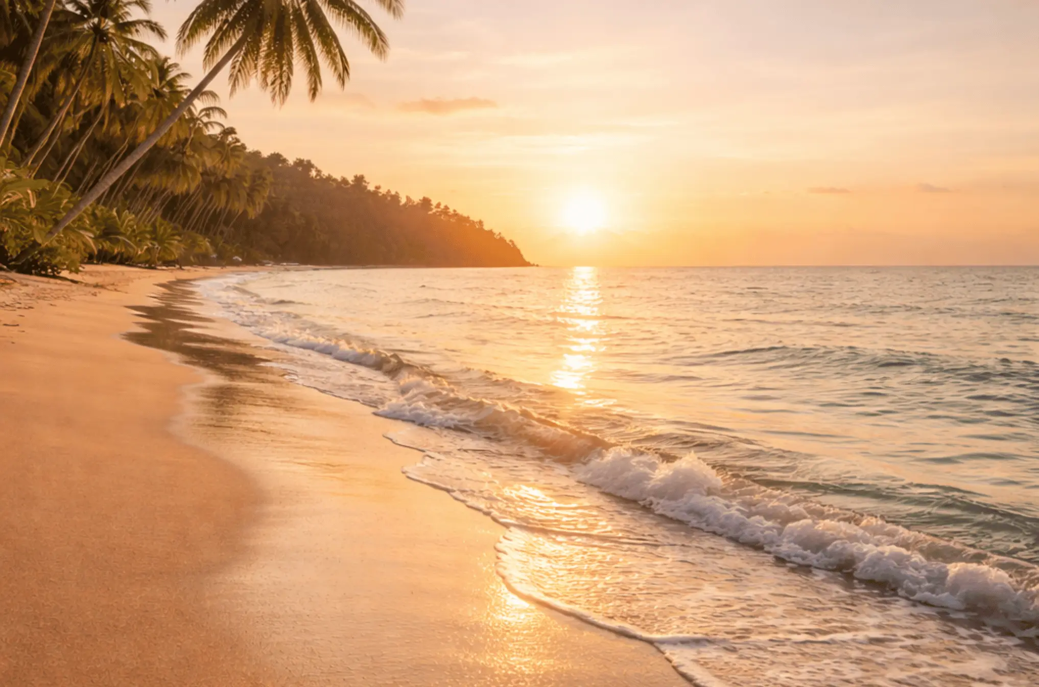 Andaman Group Tour Package