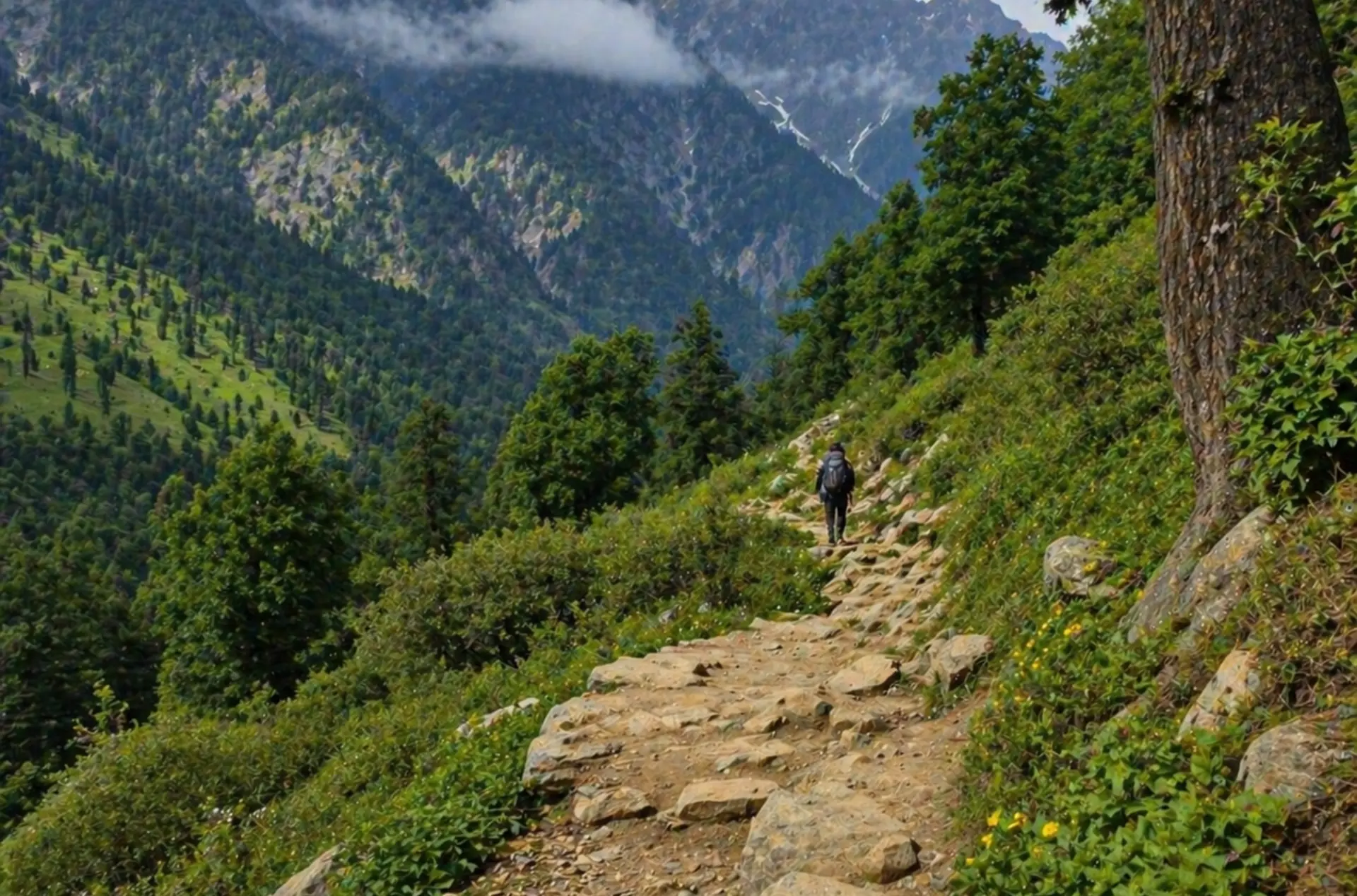 Romantic Dalhousie Dharamshala Honeymoon Tour