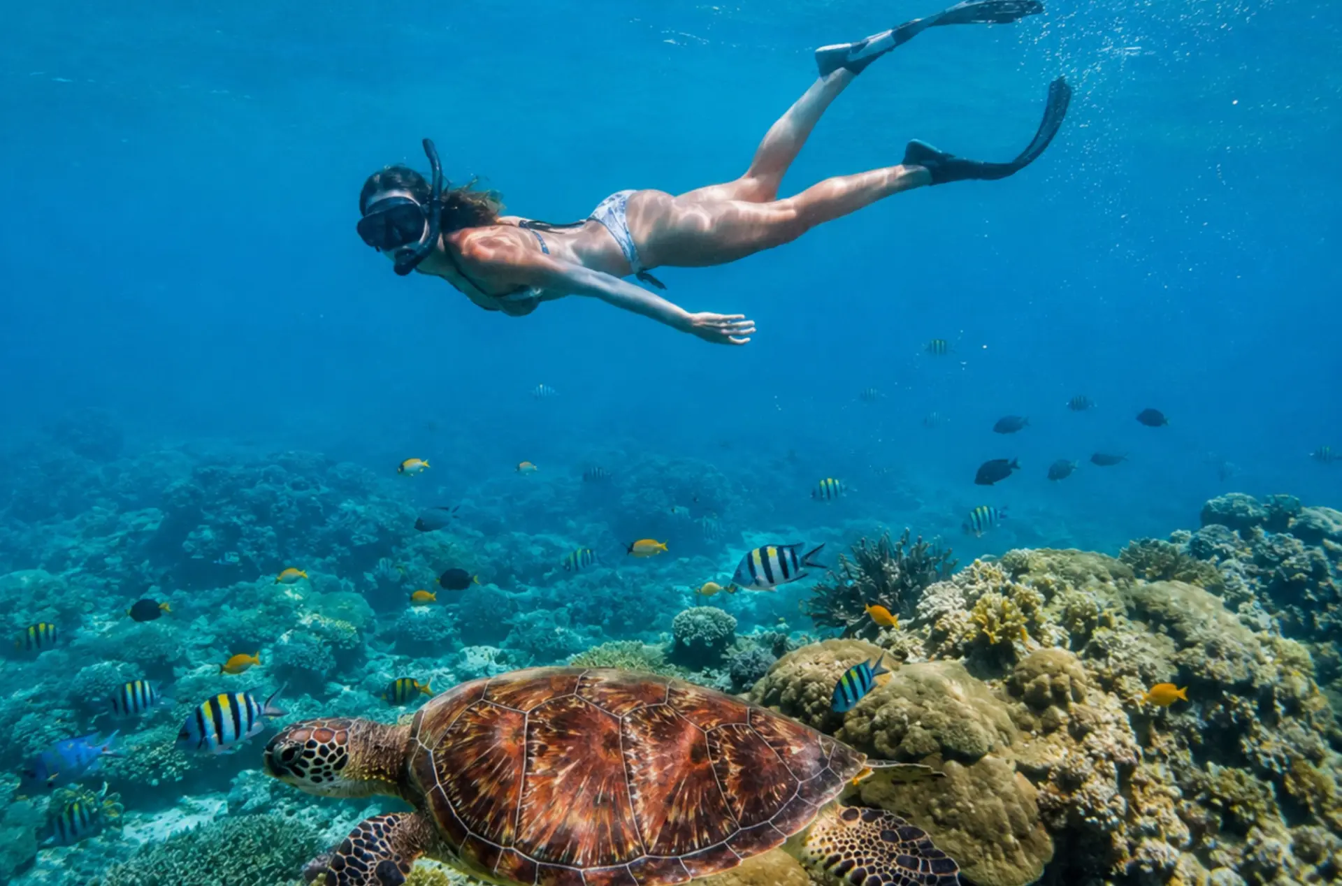 Alluring Bali Tour Package