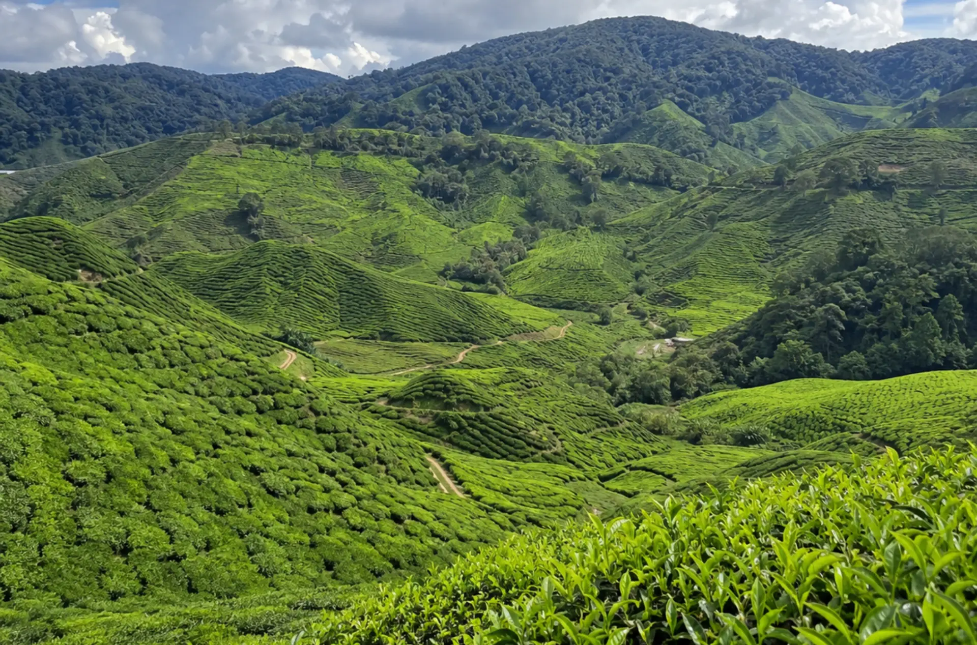 Idyllic Malaysia Tour Package