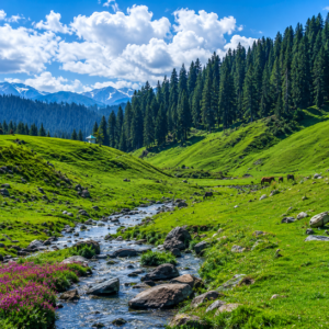 Kashmir Valley Bliss – Srinagar Gulmarg Pahalgam Escape