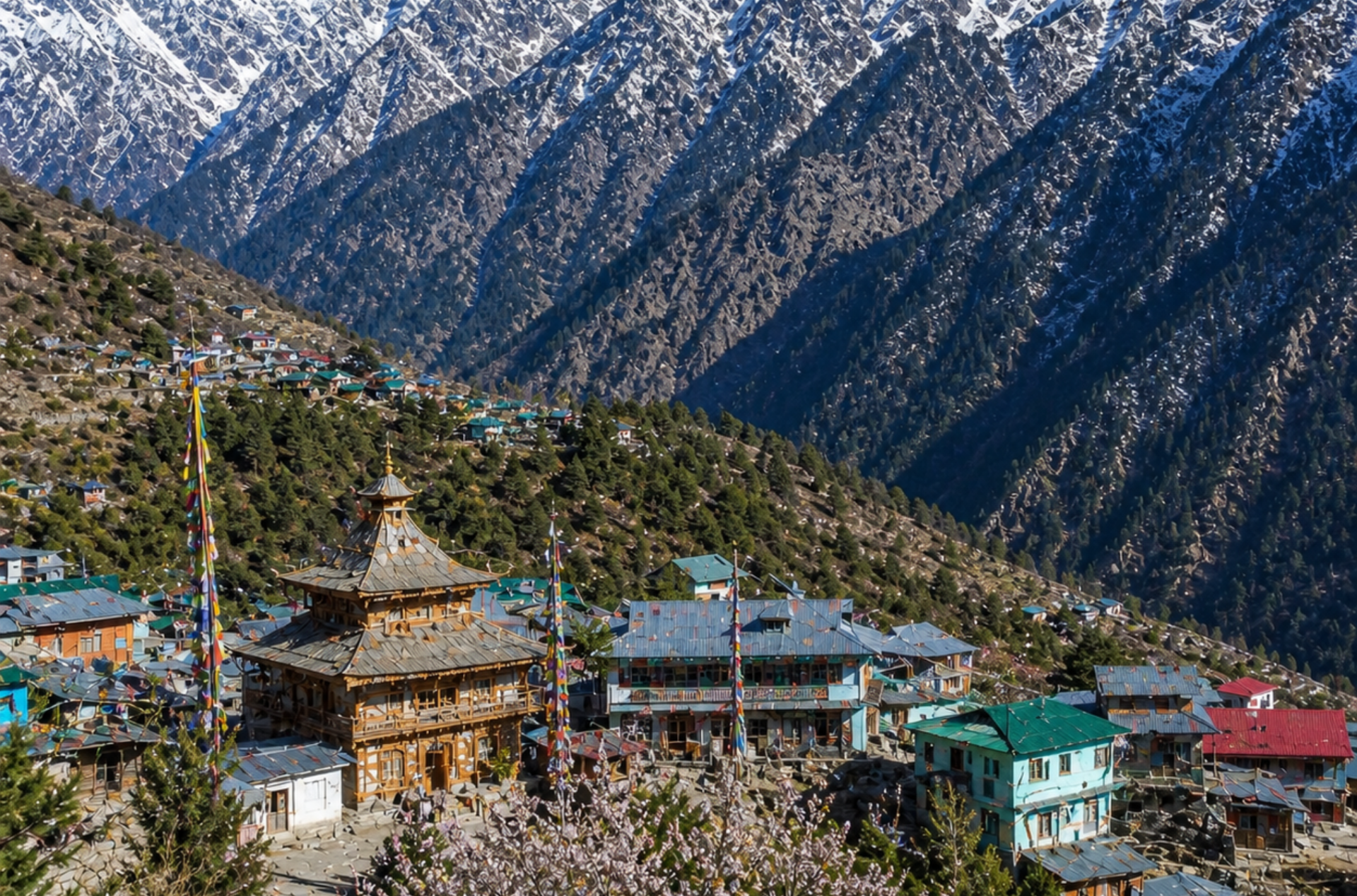 Premium Shimla Manali Himalayan Discovery Tour