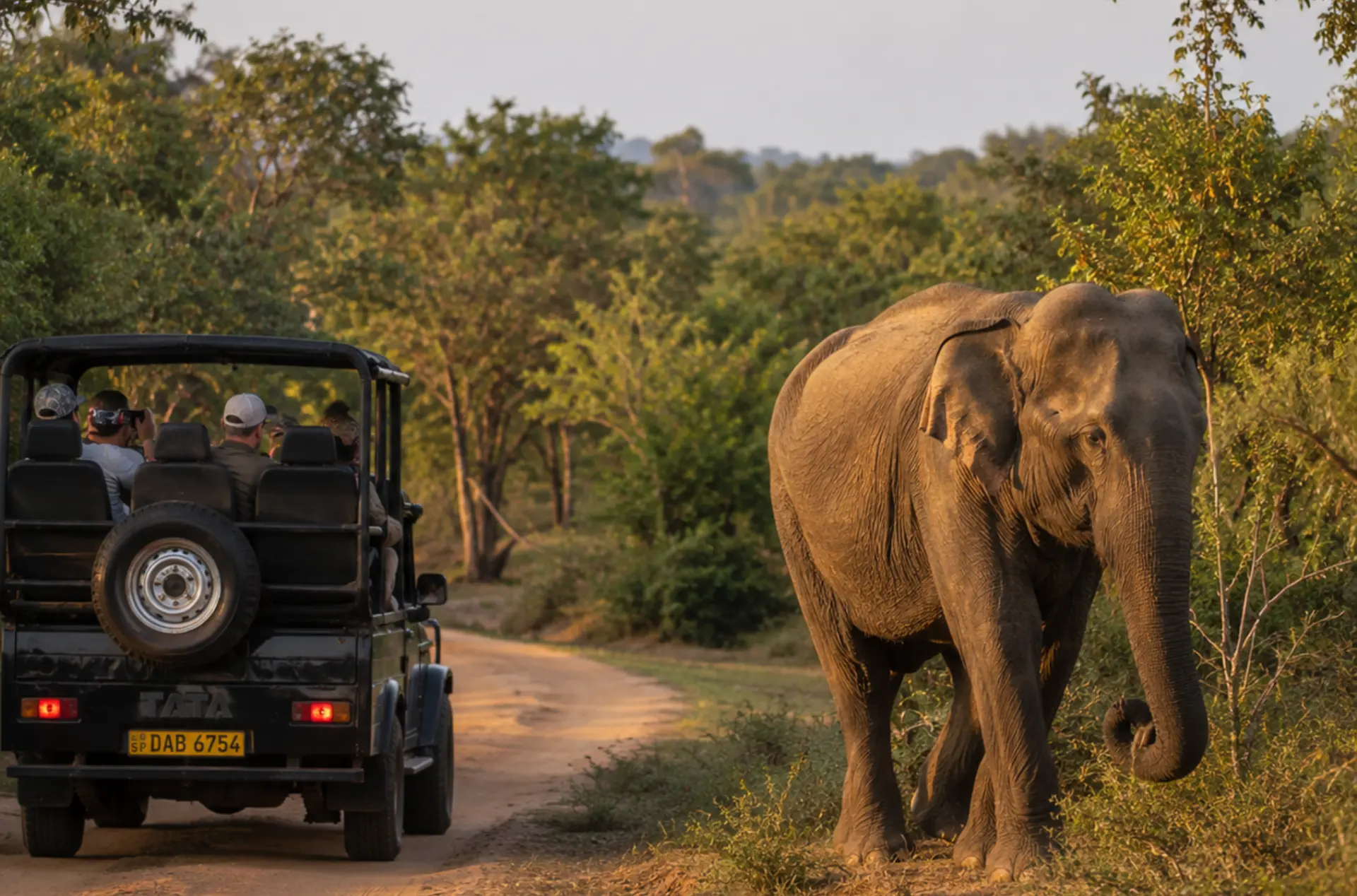 Charming Sri Lanka Honeymoon Getaway with Cultural Experiences