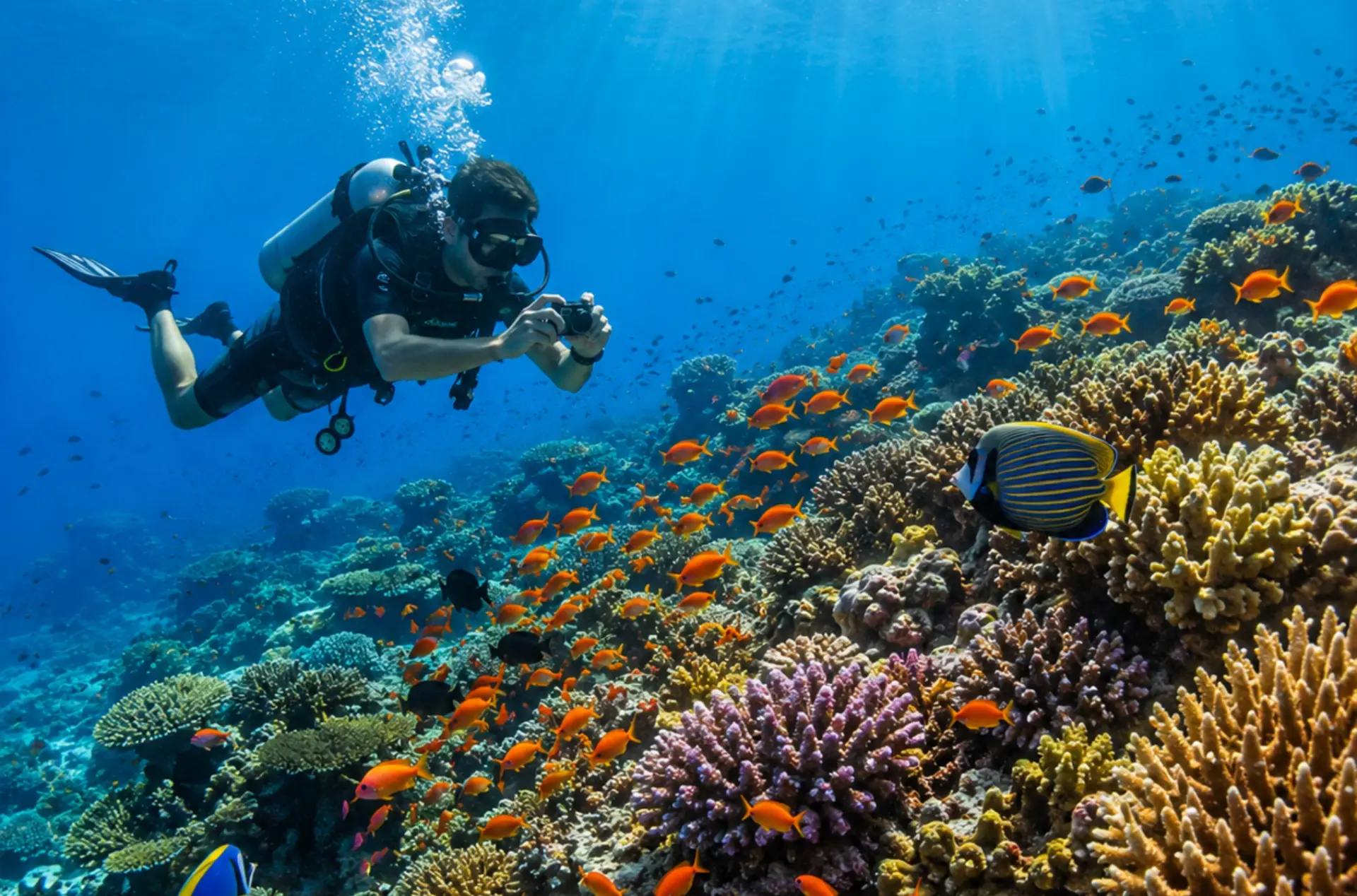 Taj Exotica Maldives Premium Honeymoon Tour Package
