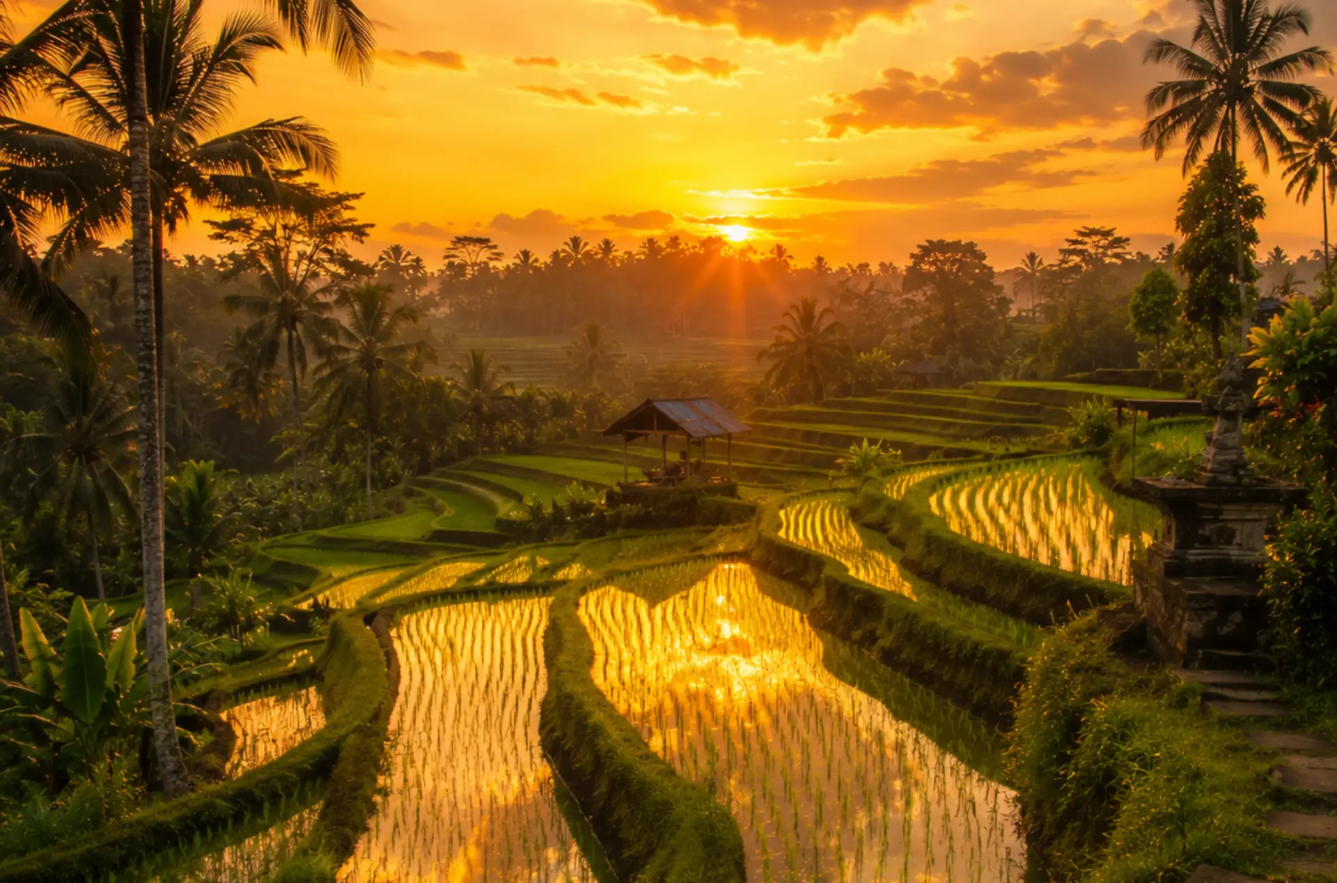 Bali 5 Star Holiday Package