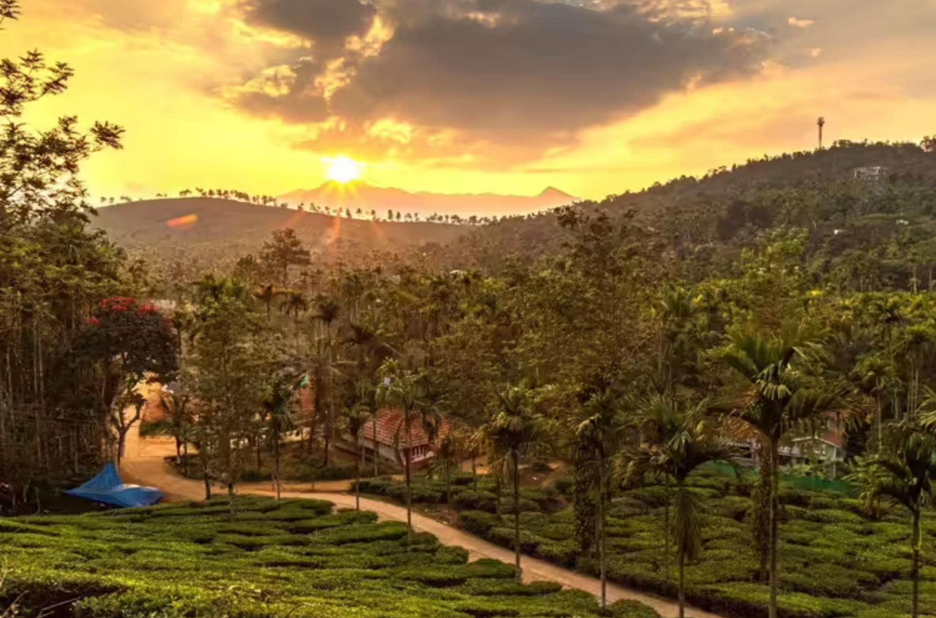 Kerala Grand Explorer – Complete Kerala Hills, Backwaters & Beaches Tour